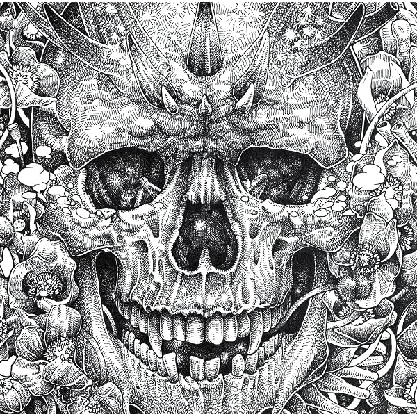 Amazon.co.jp: DIR EN GREY MORTAL DOWNER 【 初回生産限定盤 】(2CD